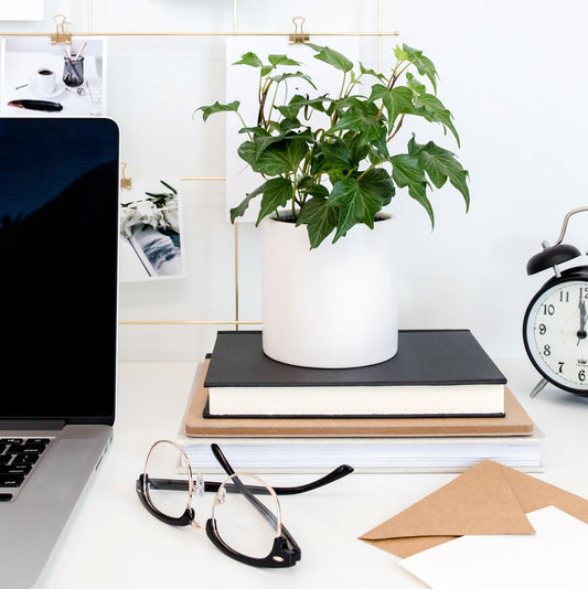 Best Business Bank Accounts for Small Businesses in 2025