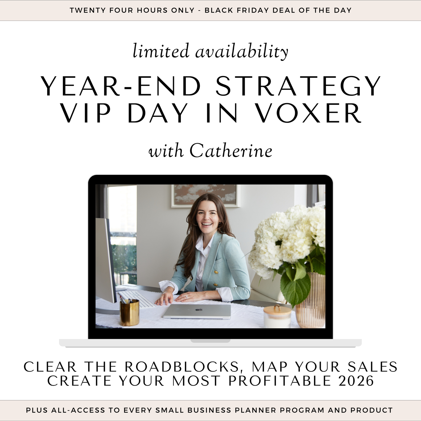 Black Friday: 1:1 Strategy Day with Catherine (in Voxer)